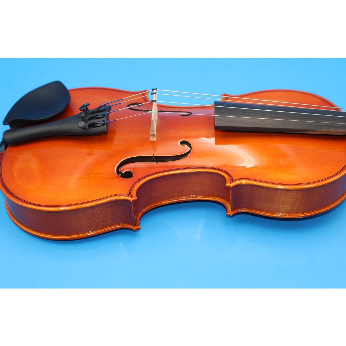 Bernard Mueller Eastman Strings VL155 4/4 Violin
