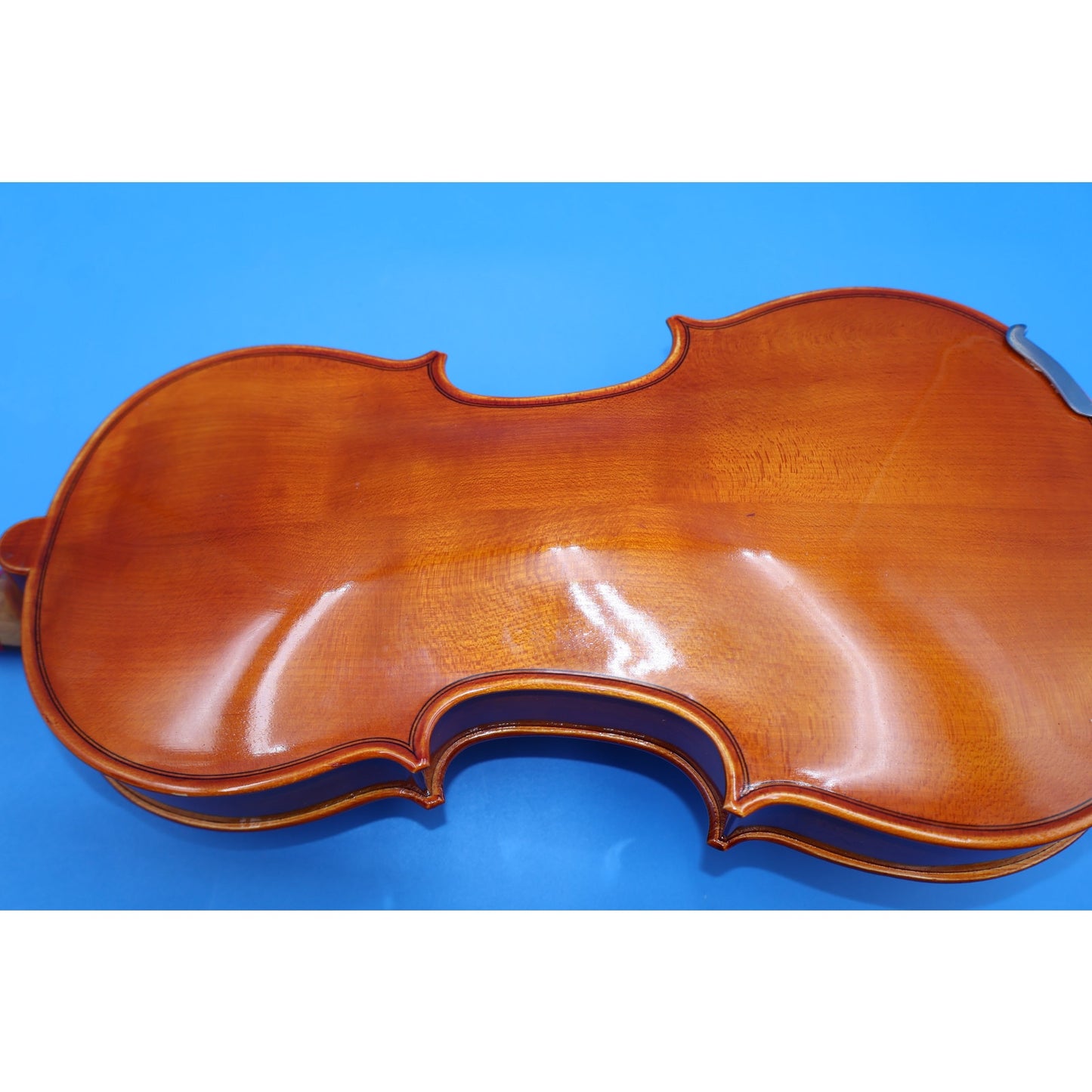 Bernard Mueller Eastman Strings VL155 4/4 Violin